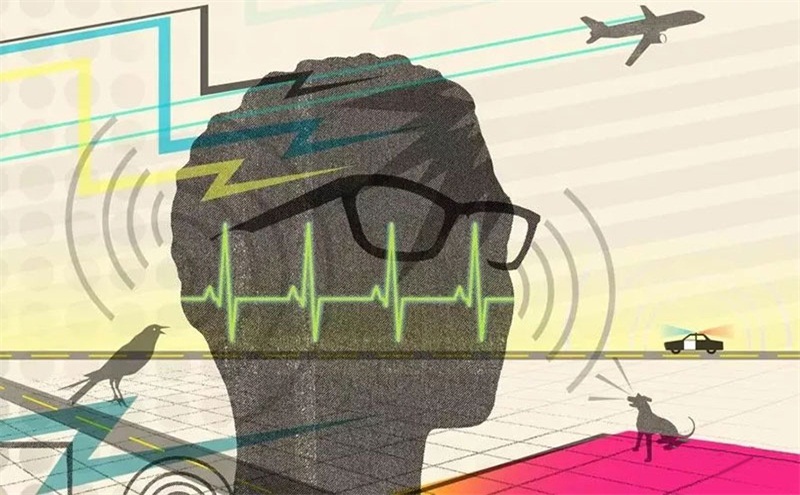 悲劇，聲學處理不好，噪音引發(fā)血案