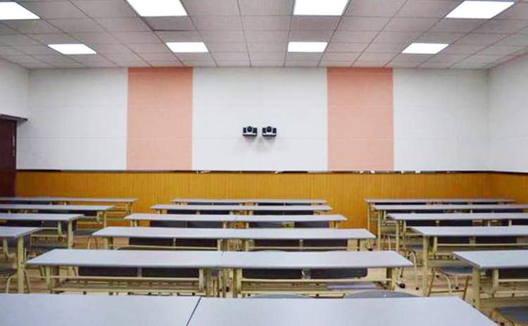 安徽馬鞍山學校木質(zhì)吸音板聲學工程